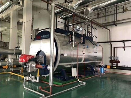 Industrijski generator pare za Sal