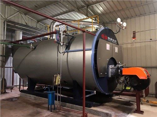 Wns Industrijska upotreba parnog kotla na prirodni plin LPG